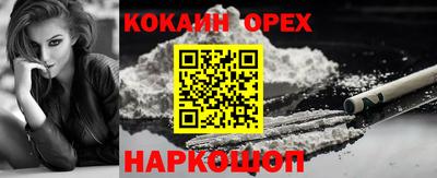 СК Можга