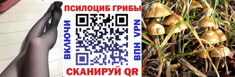 Галлюциногенные грибы MAGIC MUSHROOMS  Рузаевка 