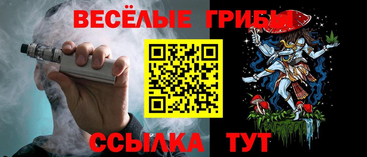 Рузаевка  Галлюциногенные грибы Psilocybe  Вход с VPN 