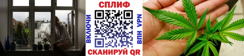 Бошки Шишки семена наркошоп Рузаевка